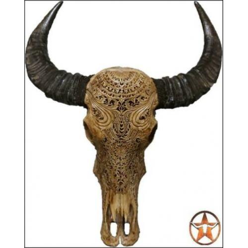 schedel, longhorn, insecten,vachten, decoratie & meubels