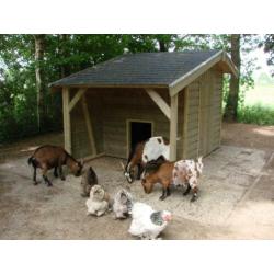 Schapen-Geitenhok ( All- inn geplaatst )