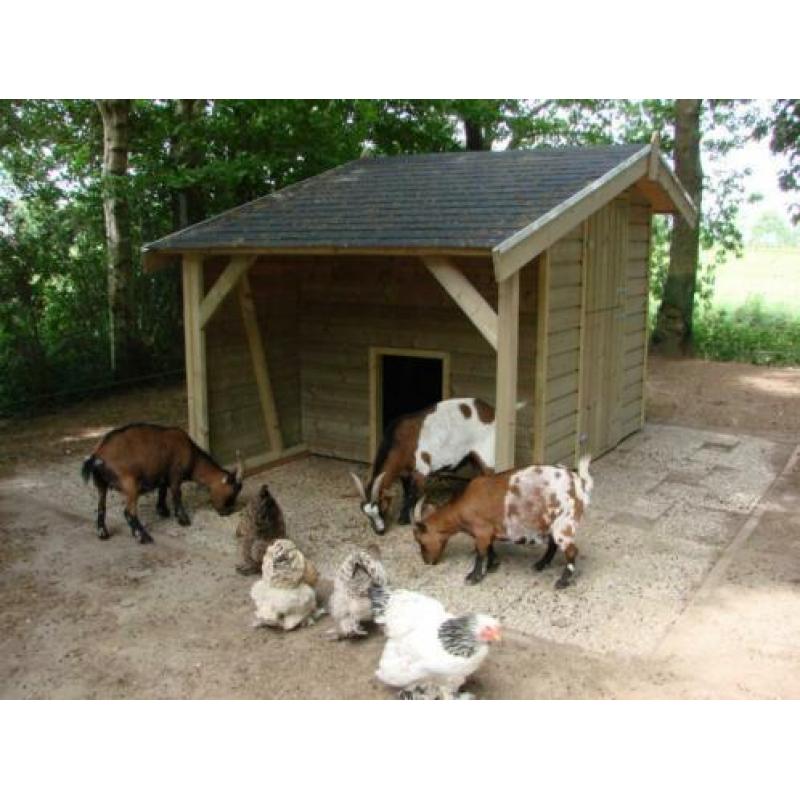 Schapen-Geitenhok ( All- inn geplaatst )