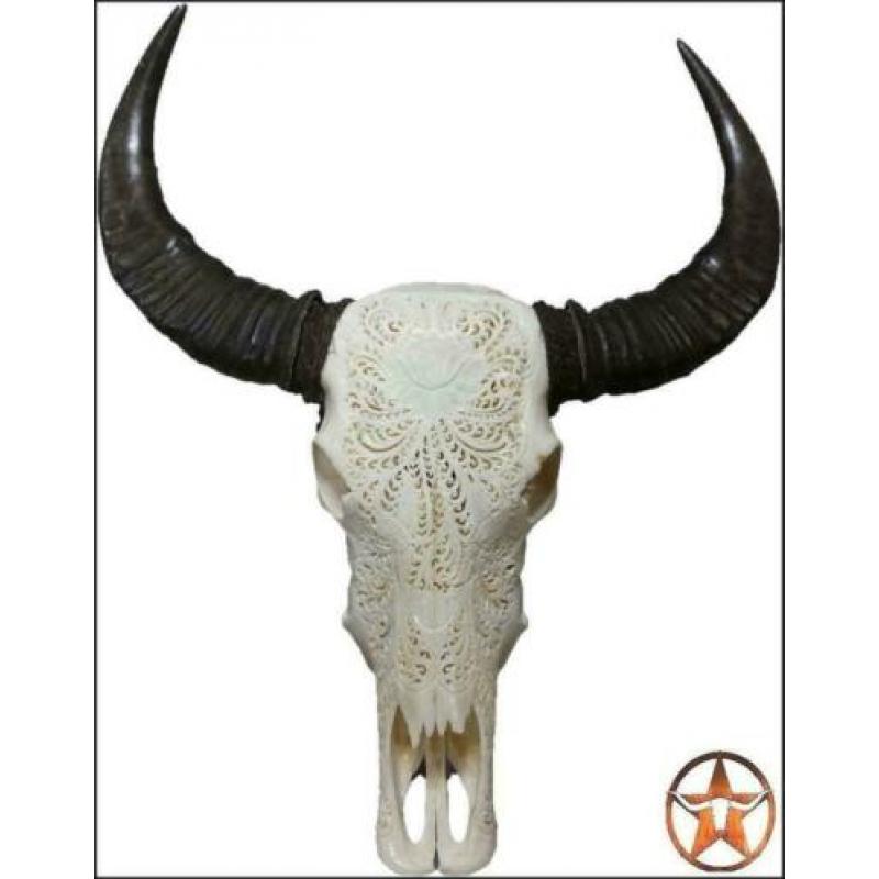 schedel, longhorn, insecten,vachten, decoratie & meubels