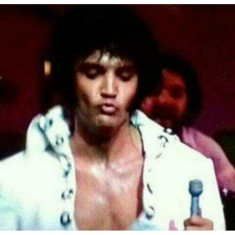 Elvis Presley DVDConcha Time!