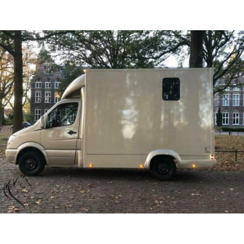 Paardenwagen- paardenvrachtwagen Mercedes