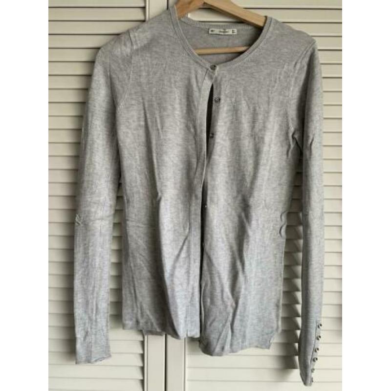 Zara lichtgrijs vest S 36