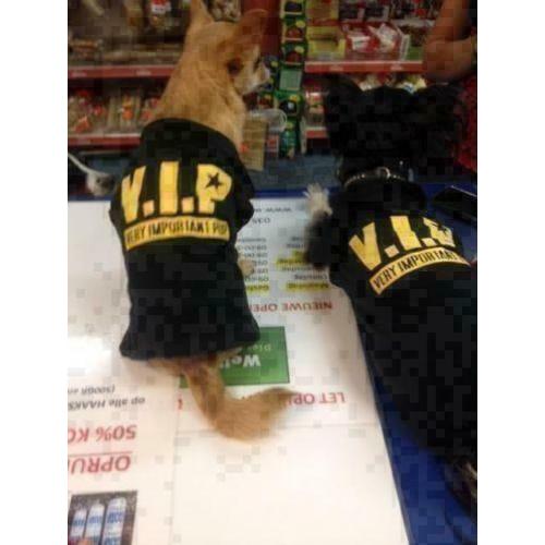 Bikini t-shirt, hondenkleding, chihuahua, xsmall small