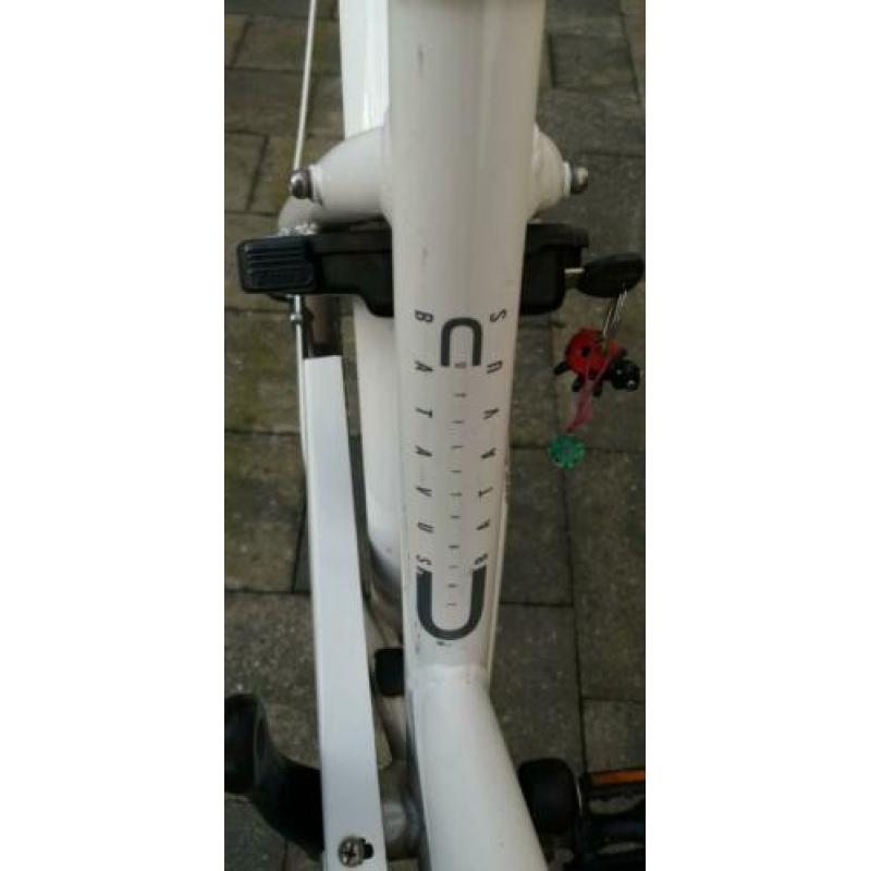 Batavus 24 inch meisjesfiets