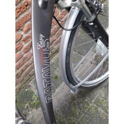Batavus weekend electrischefiets