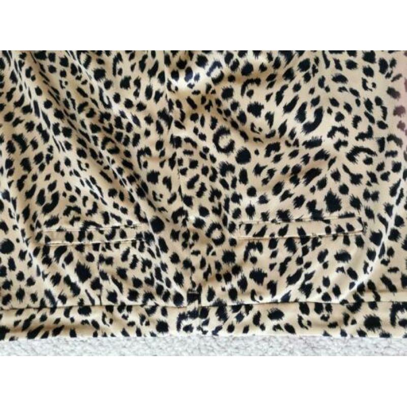 Broek scotch and soda tijgerprint broek club voyage L
