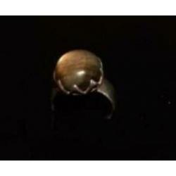 Fraaie zilveren ring met Labradoriet - nog nieuw!