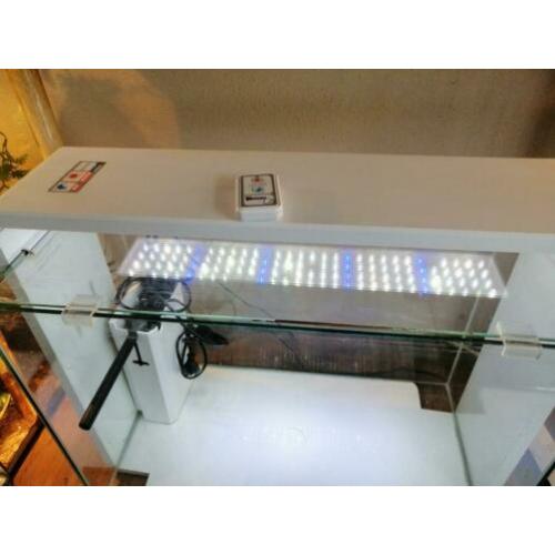 Heel mooi design aquarium te koop.