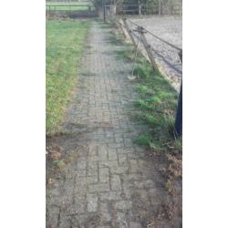 Ervaren tuinman met professionele gereedschap