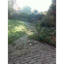 Ervaren tuinman met professionele gereedschap