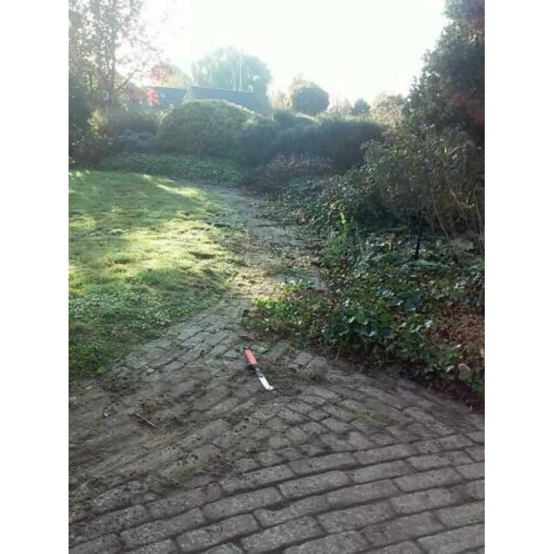 Ervaren tuinman met professionele gereedschap
