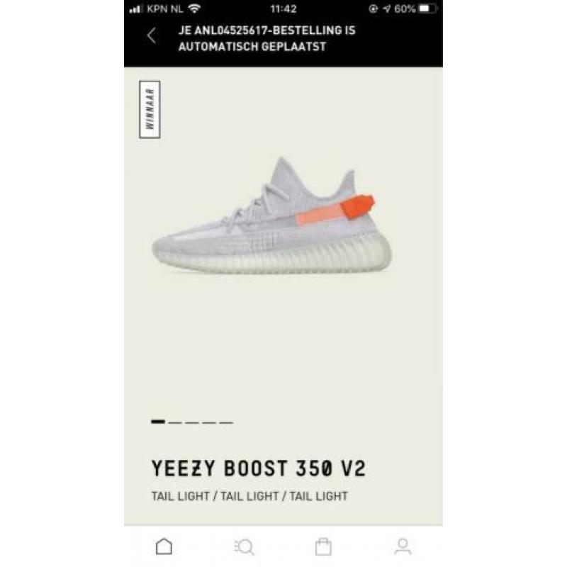 Yeezy Boost 350 V2 Tail Light 41 1/3