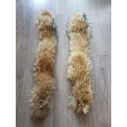 Zo goed als nieuwe raccoon/ wasbeer bontkraag/ bontkragen