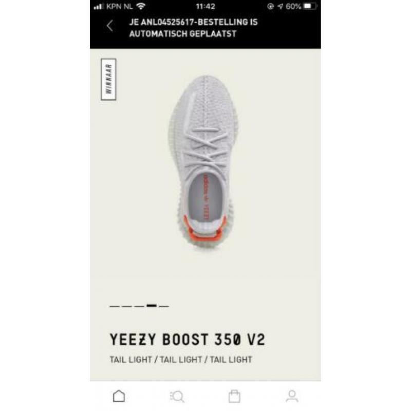 Yeezy Boost 350 V2 Tail Light 41 1/3