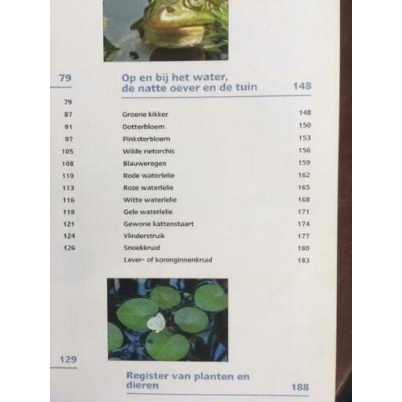Kikkers en vijvers - Ada Hofman