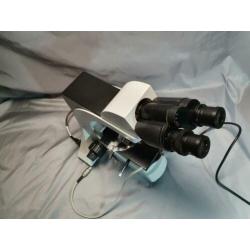 microscoop phase contrast