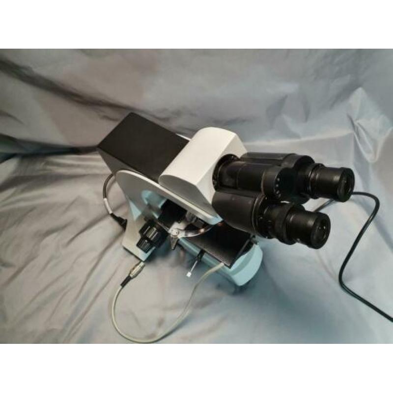 microscoop phase contrast