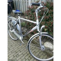 Gazelle orange heren