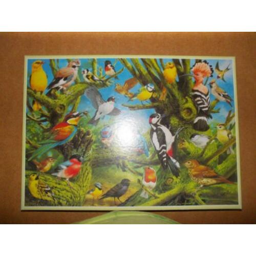 puzzels