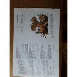 Zweeds kookboek