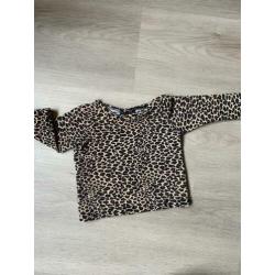 The little cuties panter shirt ?? 74/80.