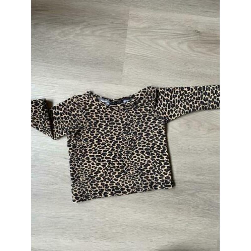 The little cuties panter shirt ?? 74/80.
