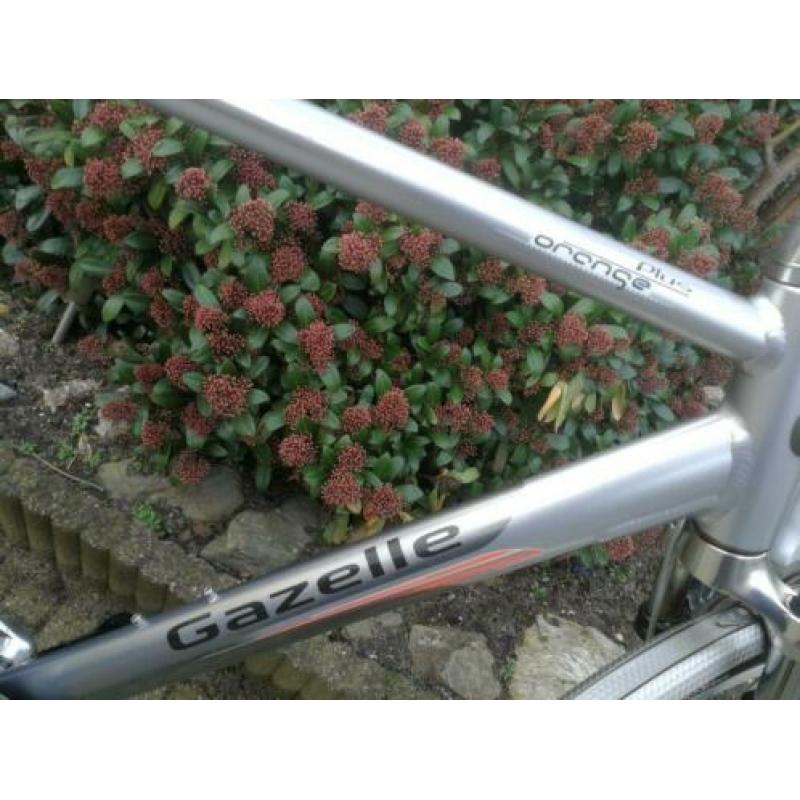 Gazelle orange heren