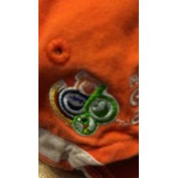 Oranje pet FIFA world cup Duitsland Germany 2006