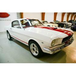 Ford usa MUSTANG 4.9 V8 Fastback
