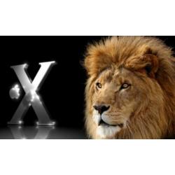 Installeer OSX Lion 10.7.5 en/of Mountain Lion 10.8.5 USB