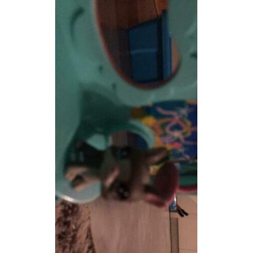 Littlest petshop groot huis +5 dieren