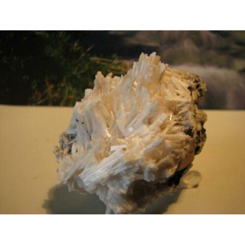 Mooi wit Mineraal Scoleciet.238