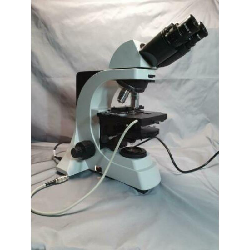 microscoop phase contrast