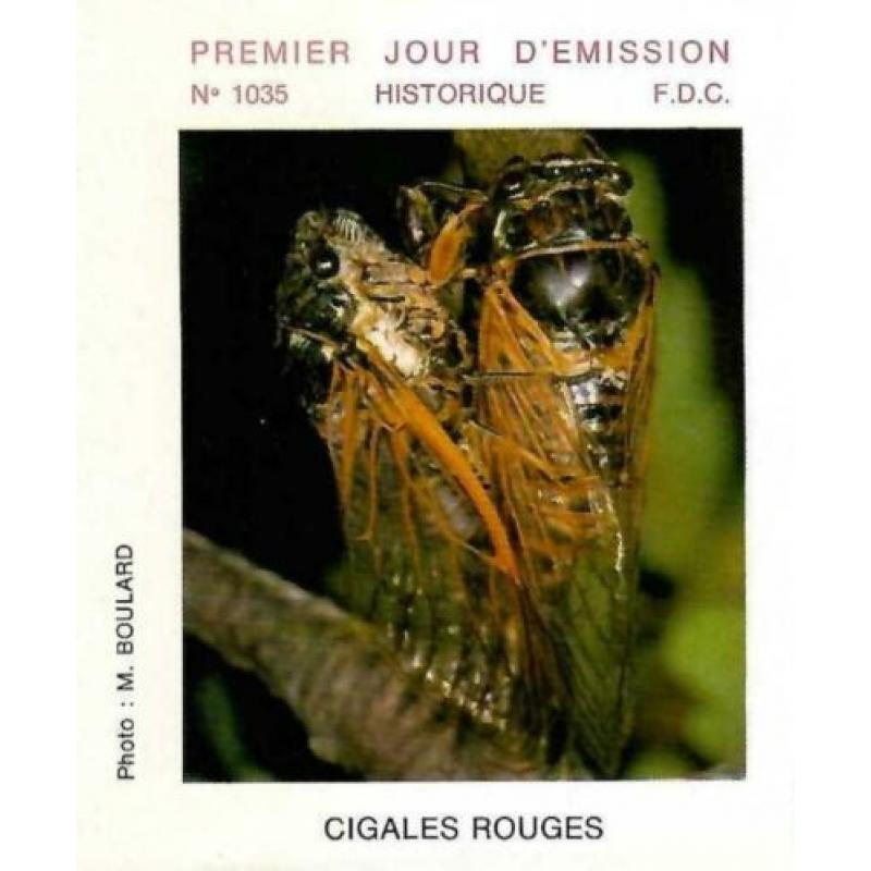 FDC France 1977 Cigales Rouges