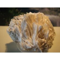 Mooi wit Mineraal Scoleciet.238