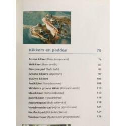 Kikkers en vijvers - Ada Hofman