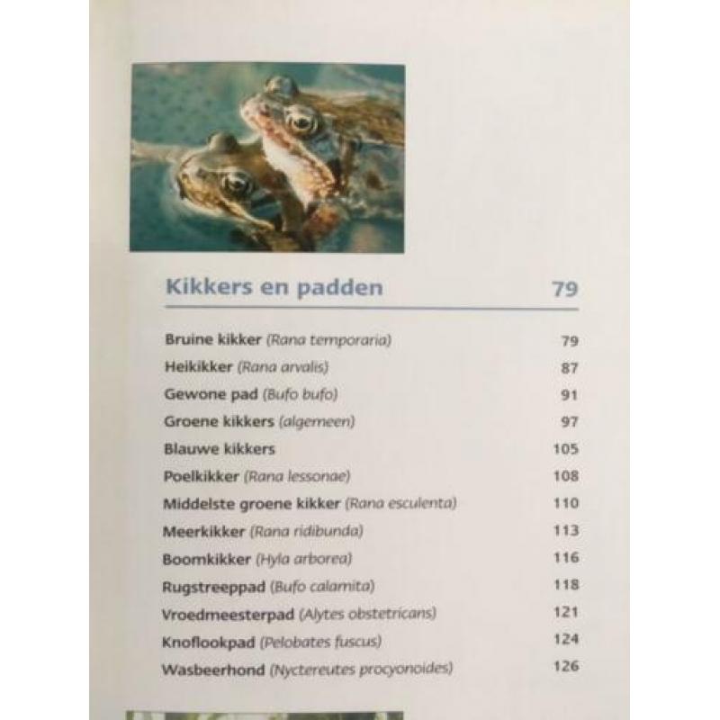 Kikkers en vijvers - Ada Hofman