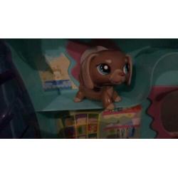 Littlest petshop groot huis +5 dieren