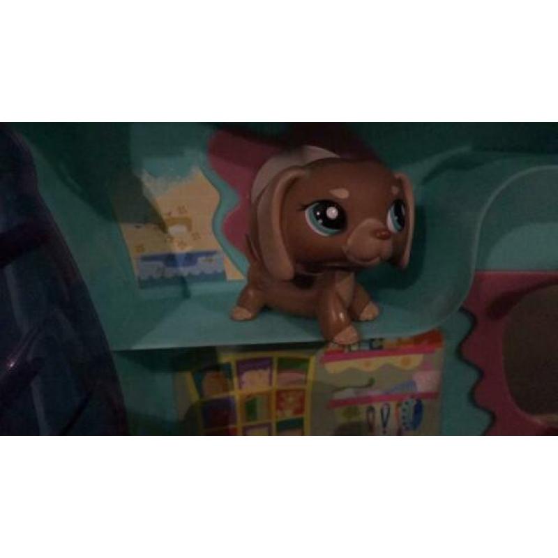 Littlest petshop groot huis +5 dieren