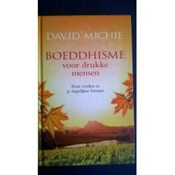 David Michie - Boeddhisme voor drukke mensen