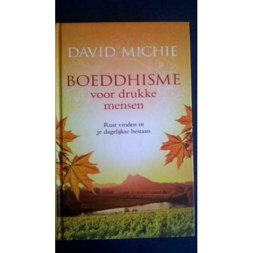 David Michie - Boeddhisme voor drukke mensen