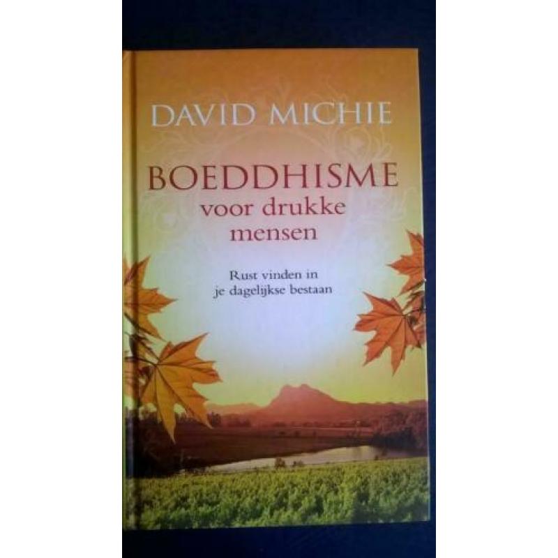 David Michie - Boeddhisme voor drukke mensen