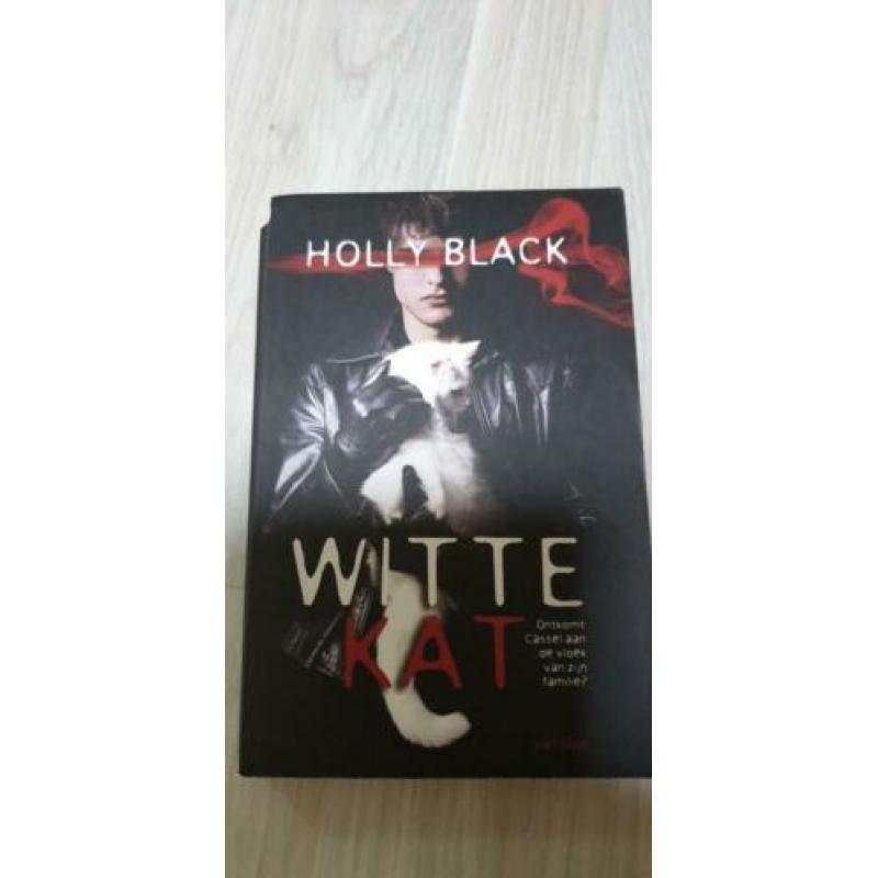 4 YA Fantasie boeken Lauren Kate Teardrop Richelle Mead
