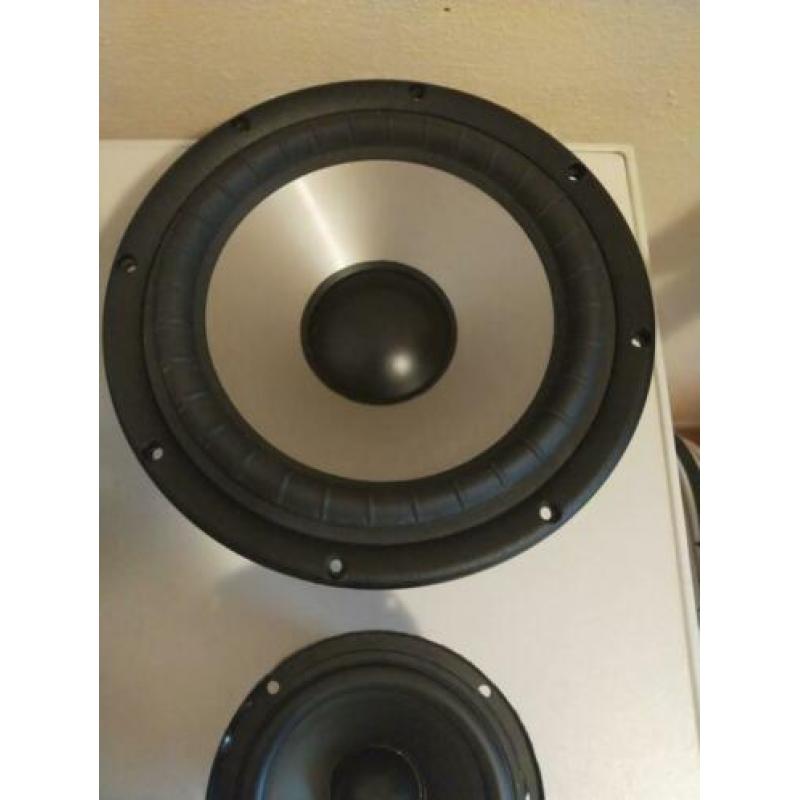 Diversen zelfbouw speakers