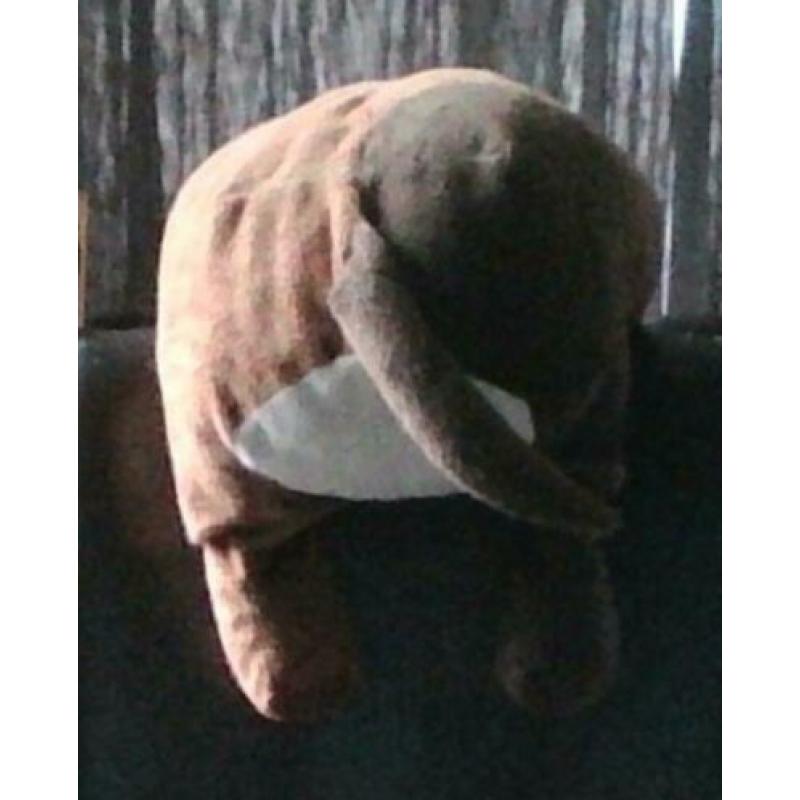Buldog Knuffel
