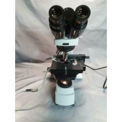 microscoop phase contrast