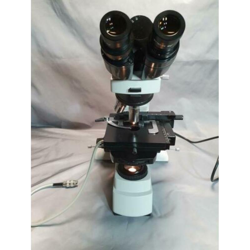 microscoop phase contrast