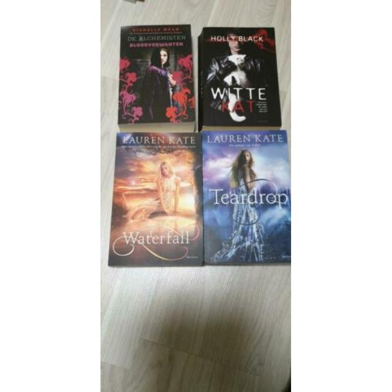 4 YA Fantasie boeken Lauren Kate Teardrop Richelle Mead