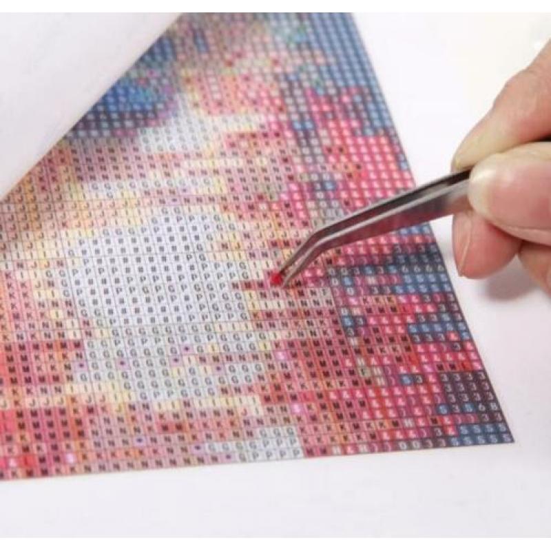 4199 full diamond painting aapje houd poesje vast